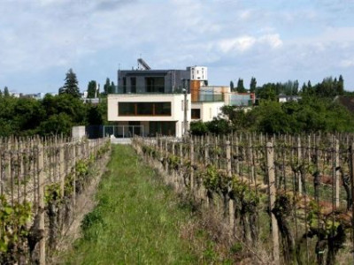 Prenájom- Luxusný rodinný dom na Pezinskej ul. – 5 izbový, 4 kúpeľne, pozemok 250 m2. Pezinská ul. - BA III VINOHRADYLEASE - LUXURIOUS HOUSE, PEZINSKA ST. (VINEYARDS),, 4 BEDROOMS, 4 BATHROOMS, 250 sqm, LAND 250 sqm