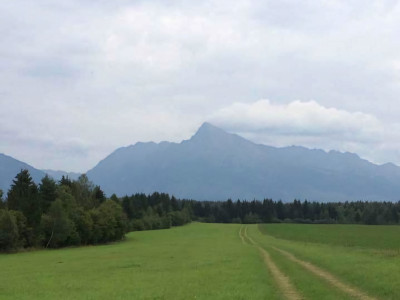POZEMOK 2 374 m2 Liptovský Ján okr. Liptovský Mikuláš